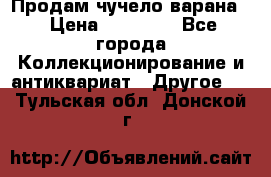 Продам чучело варана. › Цена ­ 15 000 - Все города Коллекционирование и антиквариат » Другое   . Тульская обл.,Донской г.